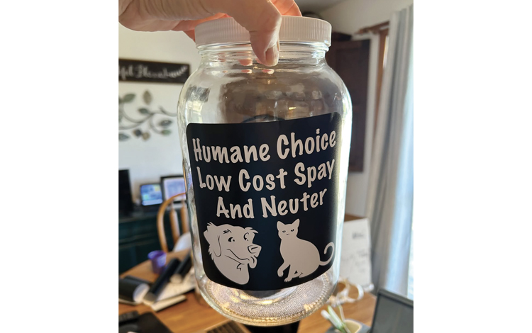 New nonprofit tackles pet overpopulation