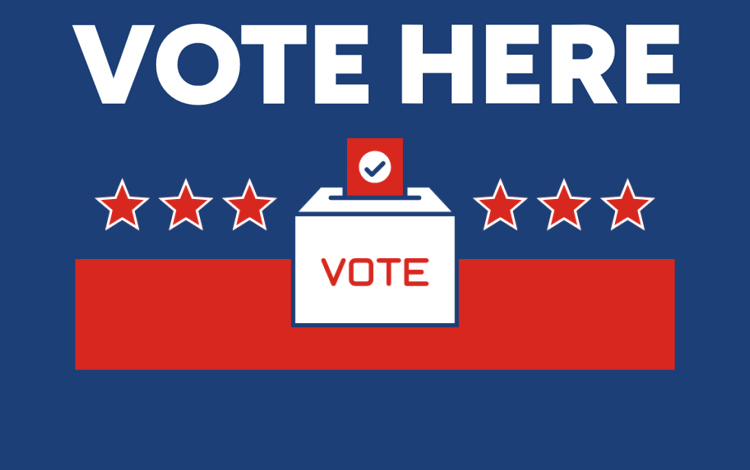 Voters to decide federal, state and local races Nov. 3