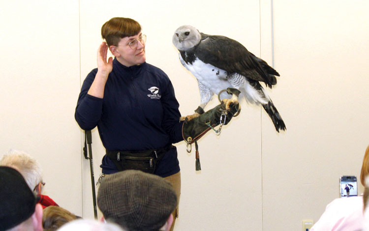 Eagle Watch is back this Saturday at Carlyle